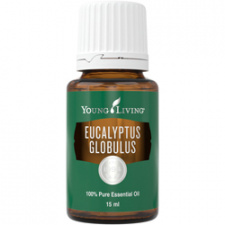 Rutulinis eukaliptas (Eucalyptus Globulus) eterinis aliejus YOUNG LIVING, 15 ml 