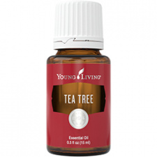 Arbatmedis (Tea Tree) eterinis aliejus YOUNG LIVING, 15 ml 