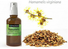 Hamamelių hidrolatas BIO su PURKŠTUKU, 100 ml 