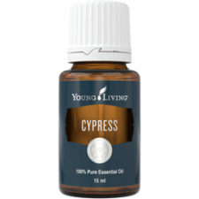 Kiparisas (Cypress) eterinis aliejus YOUNG LIVING, 5 ml 