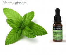 Pipirmėčių eterinis aliejus + PIPETĖ, 10 ml 