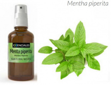 Pipirmėtės hidrolatas su PURKŠTUKU, 100 ml 