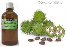 Ricinų aliejus, 100 ml 