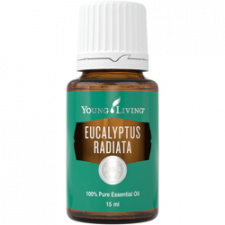 Spindulinis eukaliptas (Eucalyptus Radiata) eterinis aliejus YOUNG LIVING, 5 ml 