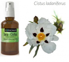 Švitrūnų (cistų) hidrolatas su PURKŠTUKU, 100 ml 
