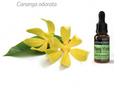 Ylang-Ylang, kanangų eterinis aliejus + PIPETĖ, 10 ml 