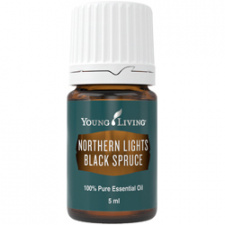 Juodoji eglė eterinis aliejus (Northern Lights Black Spruce)YOUNG LIVING, 5 ml 