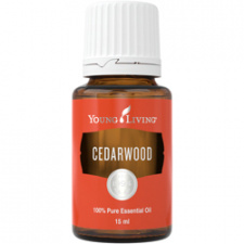 Kedras eterinis aliejus (Cedarwood) YOUNG LIVING, 15 ml 